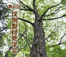 2022/10/29(土)～30(日)　第41回伐倒製材見学会