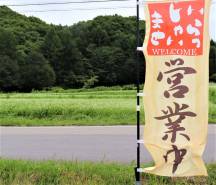 今日は19℃涼しい風が吹きます