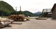 山の新緑に心躍る季節となりました！