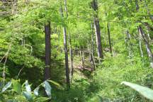 ゴールデンウィーク中の営業について